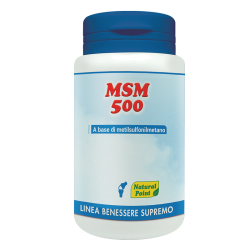 MSM 500