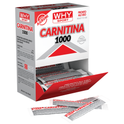 CARNITINA 1000