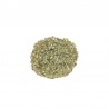 Verga d'oro tisana vendita on line Erboristeria Actis Taggia Sanremo