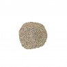 Aneth grains erboristeria Actis Ventimiglia