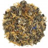 Tisane detox Erboristeria Actis Taggia Sanremo Imperia Bordighera