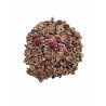 SUPER AMARENA TISANE ERBORISTERIA ACTIS ARMA DI TAGGIA BORDIGHERA