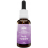 Body Harmony bush flower Erboristeria Actis Sanremo