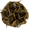 Tè verde cinese al gelsomino Erboristeria Actis Tea sommelier Sanremo