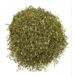 ROOIBOS VERDE green