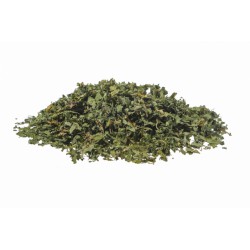 Tisane avec feuilles d' Ortie erboristeria Actis Sanremo