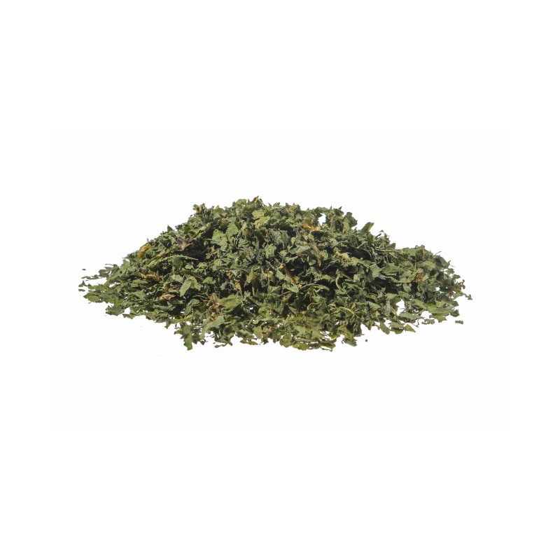 Tisana Ortica Antica erboristeria Actis Sanremo