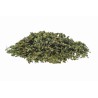Tisana Ortica Antica erboristeria Actis Sanremo