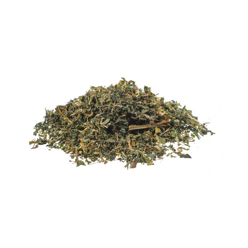 Parietaria preparazione tisane personalizzate Erboristeria Actis Sanremo