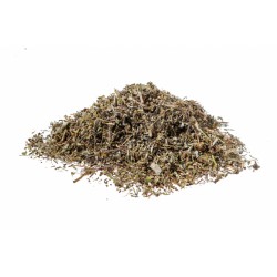 Pilosella  pianta Erboristeria Actis Sanremo Bordighera