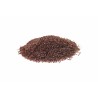 Psyllium semence Erboristeria Actis Ventimiglia Sanremo