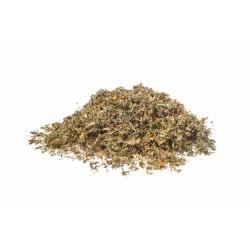 Agrimonia eupatoria Piante officinali Erboristeria Actis Sanremo e dintorni