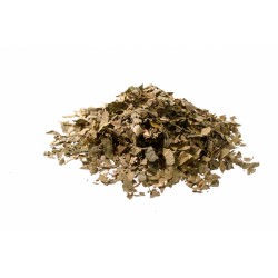 arancio foglie tisana e prodotti fitoterapici a Sanremo e dintorni