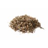 Artemisia vulgaris Erboristeria Actis  Arma di Taggia e Sanremo