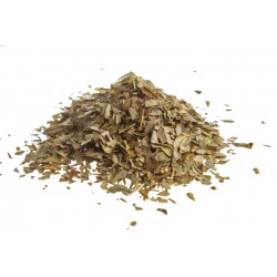 Boldo tisana Erboristeria Actis Arma di Taggia Imperia