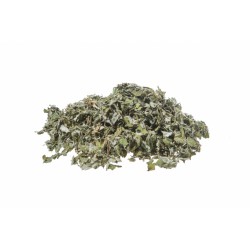 Artichaut tisane Erboristeria Actis Taggia Sanremo