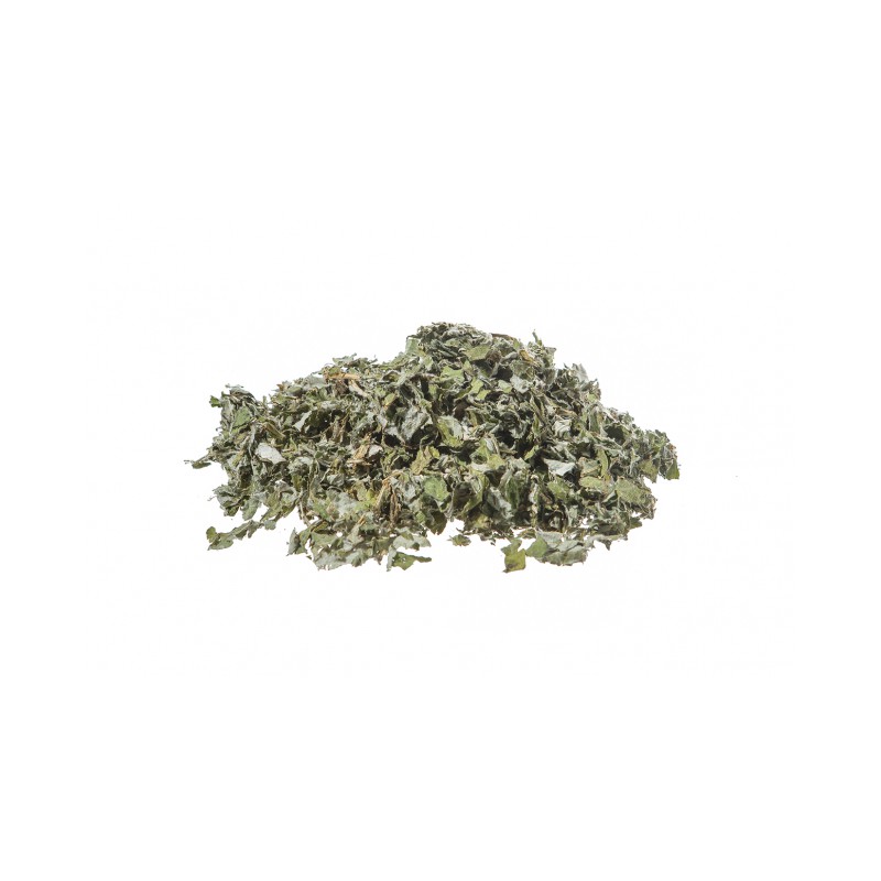 Artichaut tisane Erboristeria Actis Taggia Sanremo