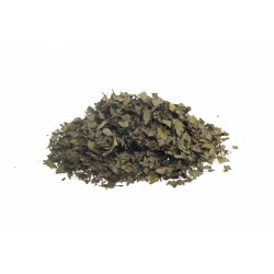 CHARDON-MARIE PLANTE  Erboristeria Actis Arma di Taggia e Sanremo