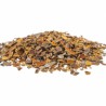 Cascara sagrada herboristherie en Imperia