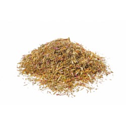 Centaurea Centaurium erythraea Erboristeria Actis  piante officinali