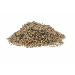 Polygonum aviculare tisana Erboristeria Actis Sanremo