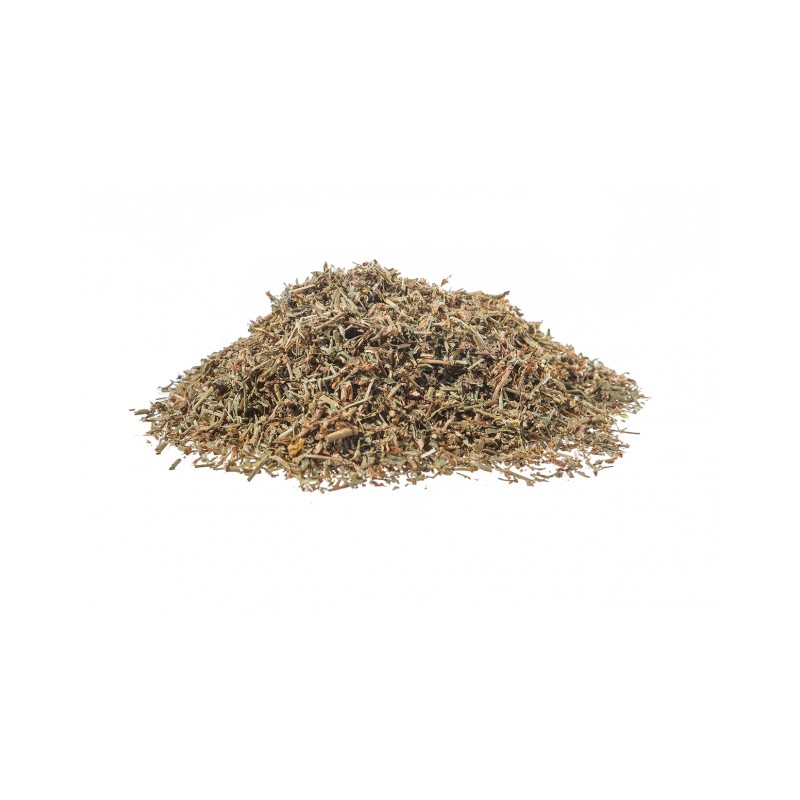 Polygonum aviculare tisana Erboristeria Actis Sanremo