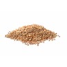 Coriandolo tisana ricette culinarie Erboristeria Actis Sanremo