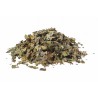 Lierre feuilles  Erboristeria Actis Imperia Sanremo Arma di Taggia