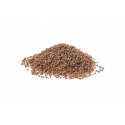 CALLUNA VULGARIS 100 gr.