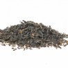 Fucus tisana Erboristeria Actis Arma di Taggia Imperia Sanremo