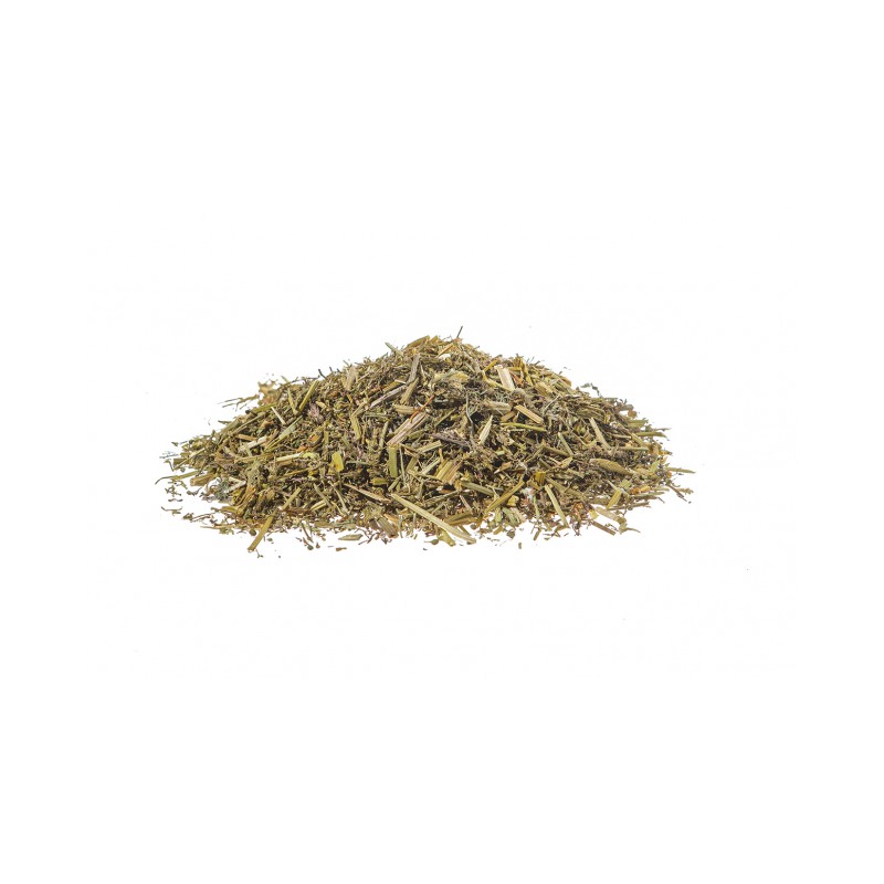 Fumaria officinalis Erboristeria Actis Sanremo