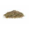 Fumaria officinalis Erboristeria Actis Sanremo