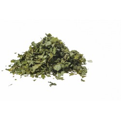 Cassis tisane  Erboristeria Actis Sanremo