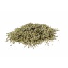 Rosmarino tisana Erboristeria Actis Arma di Taggia Imperia