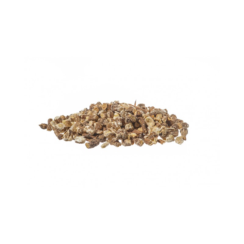 Pissenlit  tisane Erboristeria Actis Arma di Taggia Imperia