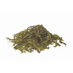 VERBENA odorosa 100 gr.