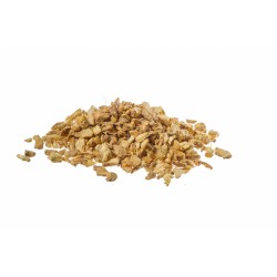 ZENZERO 100 gr.
