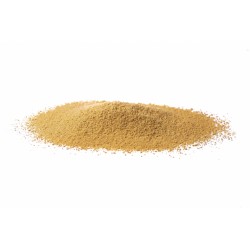 Zenzero radice Erboristeria Actis vendita prodotti bio on line Sanremo