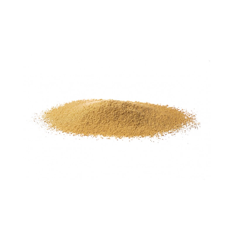 Zenzero radice Erboristeria Actis vendita prodotti bio on line Sanremo