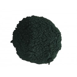 ALGA SPIRULINA POLVERE