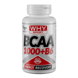 BCAA 1000+B6 100 cpr