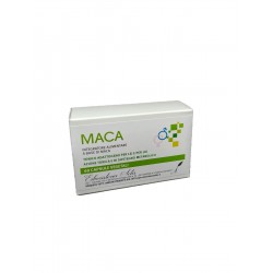 MACA