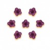 Drops violette caramelle Leone Torino Erboristeria Actis