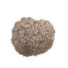Sassofrasso Erboristeria Actis
