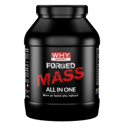 FORGED MASS ALL IN ONE