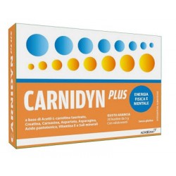 CARNIDYN PLUS