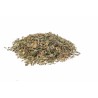 Taraxacum officinale feuilles Erboristeria Actis