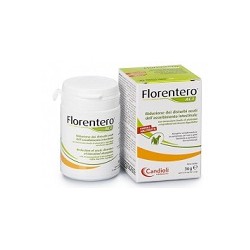 FLORENTERO ACT