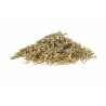 Capsella bursa-pastoris Medicus Erboristeria Actis Arma di Taggia