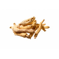 GINSENG RADICE